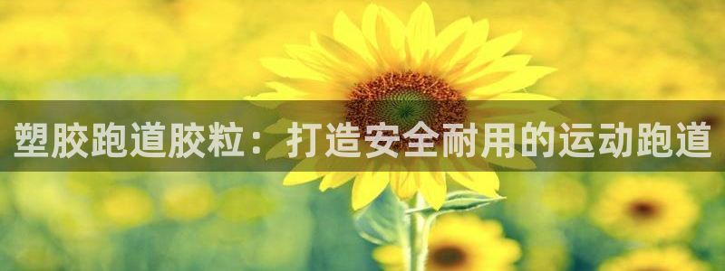 尊龙app登录不了：塑胶跑道胶粒：打造安全耐用的运动