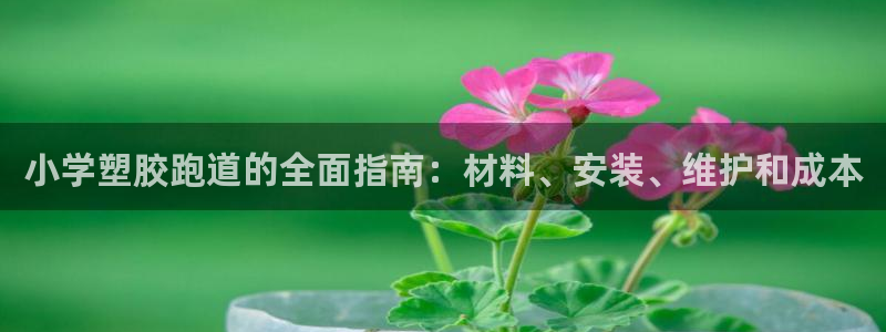 尊龙凯时平台不给出款怎么办：小学塑胶跑道的全面指南：