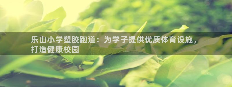 尊龙凯时一人生就是博官网：乐山小学塑胶跑道：为学子提供优质体育设施，
打造健康校园