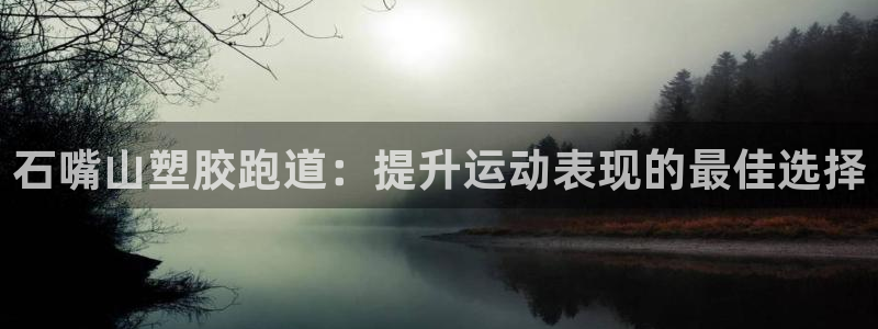 尊龙凯时人生就是搏客户：石嘴山塑胶跑道：提升运动表现的最佳选择