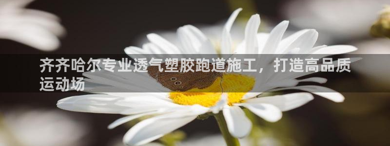 尊龙凯时注册入口：齐齐哈尔专业透气塑胶跑道施工，打造