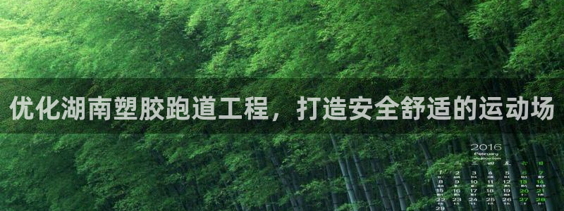 尊龙凯时下载官方正版：优化湖南塑胶跑道工程，打造安全舒适的运