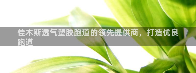 尊龙官网手机版下载：佳木斯透气塑胶跑道的领先提供商，