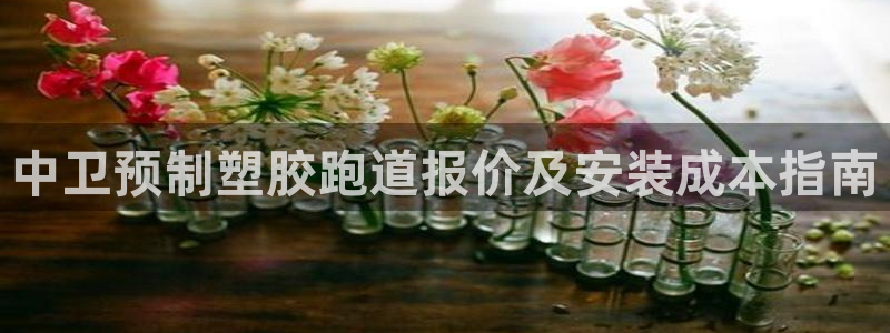 凯时app官方首页：中卫预制塑胶跑道报价及安装成本指南