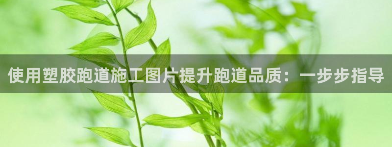 尊龙手机端下载：使用塑胶跑道施工图片提升跑道品质：一步步指导