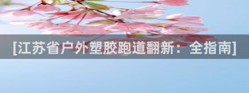 尊龙凯时下载人生就是博：[江苏省户外塑胶跑道翻新：全