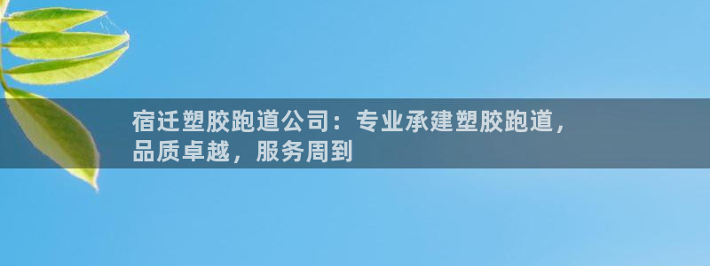 尊龙官网入口：宿迁塑胶跑道公司：专业承建塑胶跑道，
