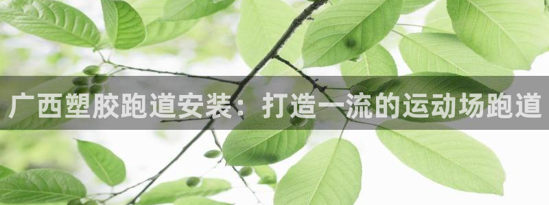 尊龙ag旗舰厅官网登录：广西塑胶跑道安装：打造一流的运动场跑道