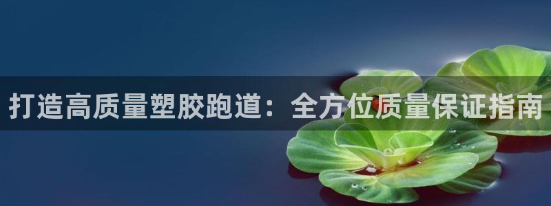 尊龙app怎么样：打造高质量塑胶跑道：全方位质量保证