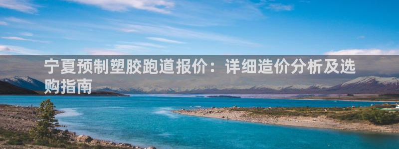 尊龙凯时可以提现吗：宁夏预制塑胶跑道报价：详细造价分析及选
购指南