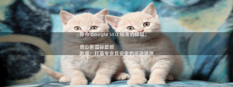 尊龙ag旗舰厅下载：符合 Google SEO 标准的标题：

昆山新国标塑胶
跑道：打造专业且安全的运动场地