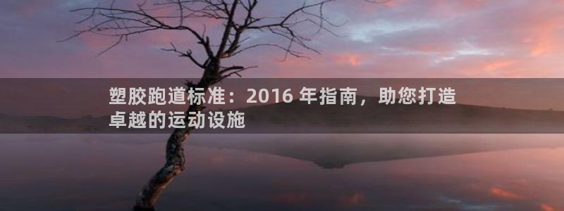 尊龙APP客户端平台：塑胶跑道标准：2016 年指南