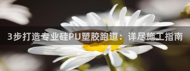 尊龙凯时百万奖池：3步打造专业硅PU塑胶跑道：详尽施工指南